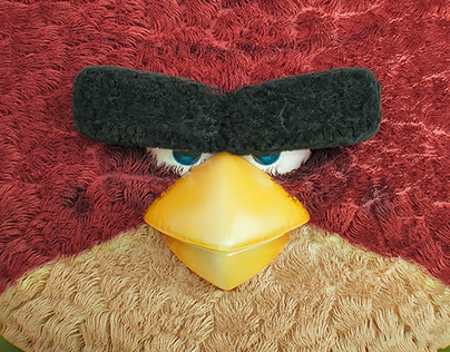 Angry birds photo session