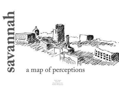 Savannah: A Map of Perceptions