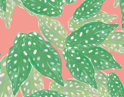 Summer begonia dotted design // California plants