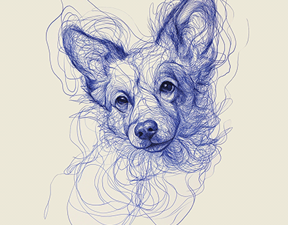 Corgi in abstract lines