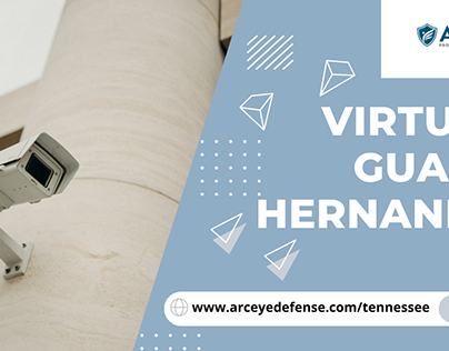 Virtual Guard Hernando
