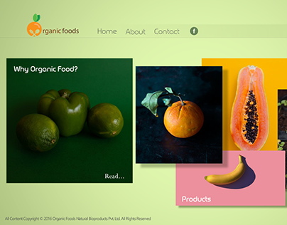 Organic Foods Logo & Website Design
