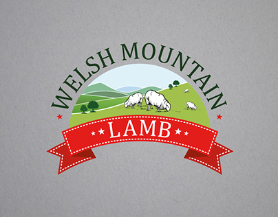 Welsh Mountain Lamb