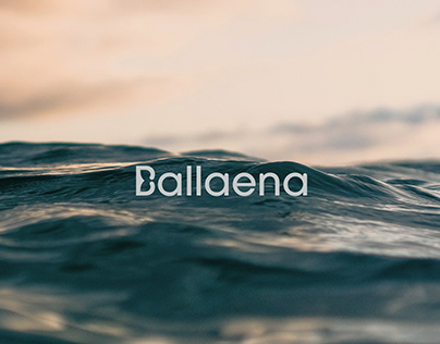 Branding: Ballaena