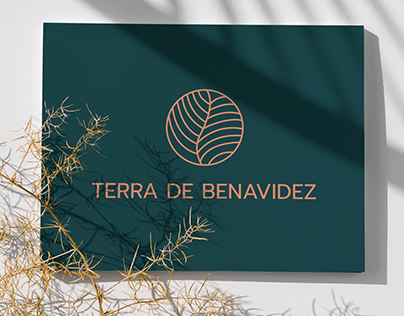 Terra Benavidez | concept