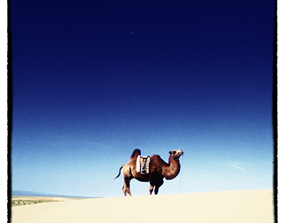 Travel / Gobi Desert, Mongolia, 1999
