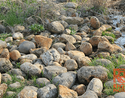 Pile of rocks and grass