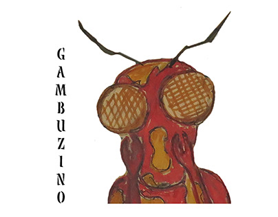 GAMBUZINO (2020 - 1º ANO MESTRADO DESIGN D. DO PRODUTO)
