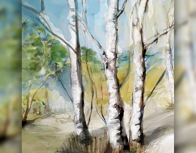 Birch (watercolor)
