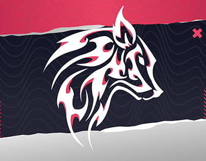 logo for tiger academy