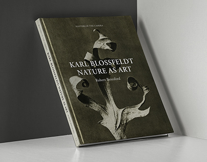 Project thumbnail - Karl Blossfeldt: Nature as Art