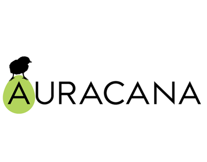 Auracana Show Reel