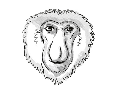 Proboscis Monkey Endangered Wildlife Cartoon Retro Draw