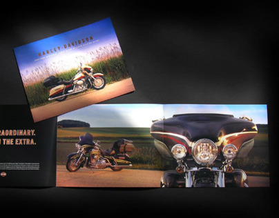 Harley-Davidson Screamin' Eagle Customs