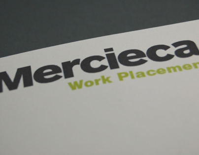 Mercieca - Work Placement Report