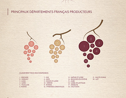 La production de vin en France
