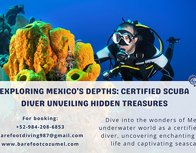 Become a Certified Scuba Diver in Mexico