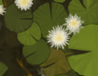 Illustration: Teh pond of water lilies