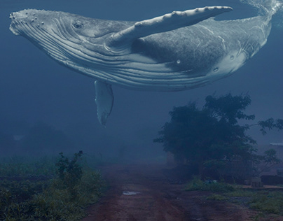 Floating Whale