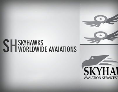 SkyHawks Logo Design