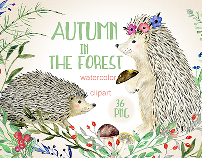 Autumn in the forest.#watercolorclipart #hedgehog