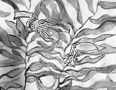 Cephalopod Ink Series II