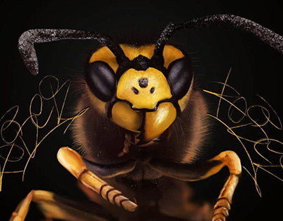 Pintura digital de insecto