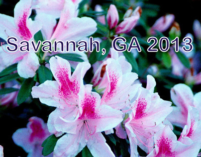 Savannah, GA March 2013