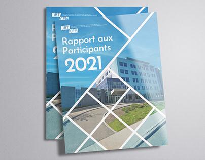 Project: Annual Report Design