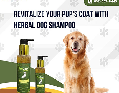 Herbal Dog Shampoo for Eco-Conscious Pet Care