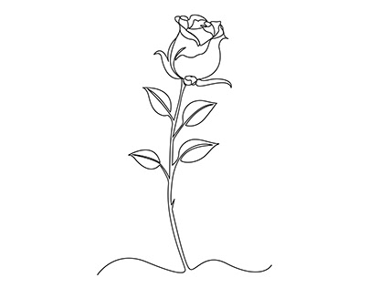 Continuous one line drawing of rose flower illustration