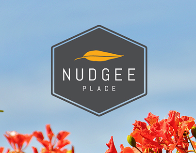 Nudgee Place