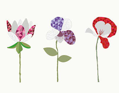 Flores ilustradas