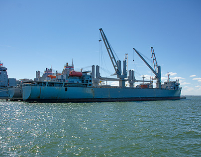 A Few Ships in Newport News