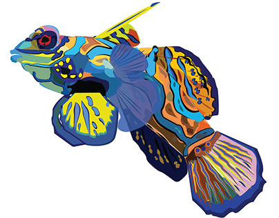 Mandarin fish low poly