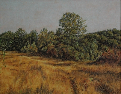 Autumn landscape (oil on canvas, 2012.)