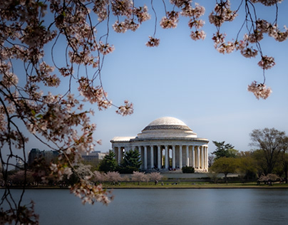 Washington, DC - Springtime