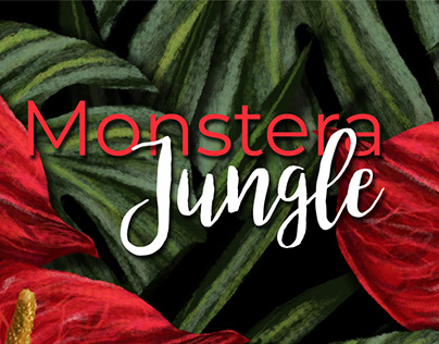 Monstera Jungle