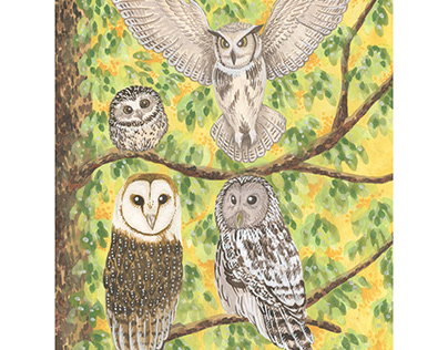 Commission Owls