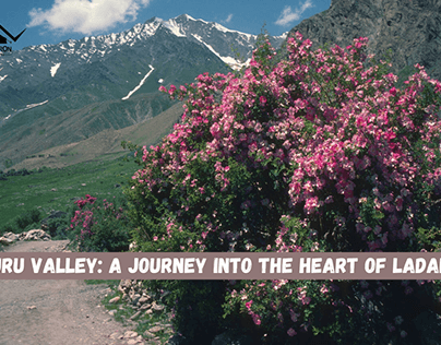 Suru Valley: A Journey Into The Heart Of Ladakh