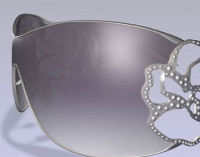 3D models Eye/Sun Glasses