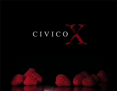 Civico X | Tesi Pt.03