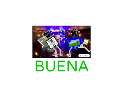 Buena Incorporated (2024)