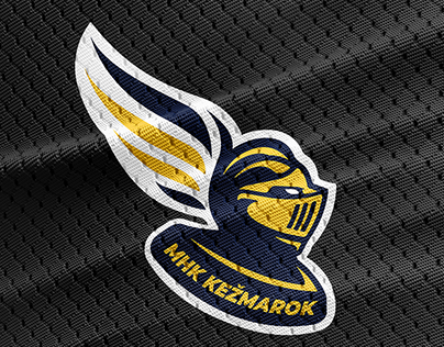 logo & brand identity for ice hockey club