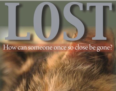 Lost Pet Poster