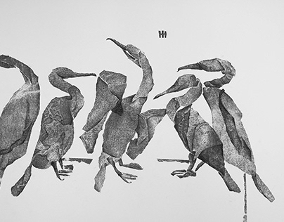Birds. Monochrome Stories