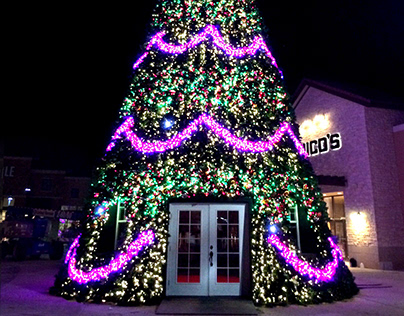 Santa Inside - 50' Holiday Tree House w/ Light Show
