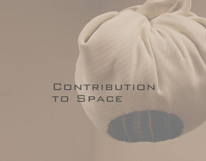 Contribution to Space