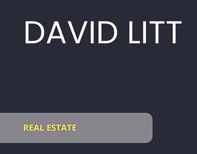 David Litt Real Estate's Visionary Odyssey