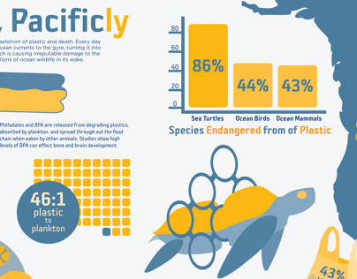 Pacific Garbage Patch Infographic